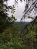 IMG_20200803_073510.thumb.jpg.1c026c67b4e71d5db120a1b1971eb56f.jpg