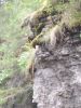 IMG_20200803_080432.thumb.jpg.0da96bc0947152a2d943c24069d1da50.jpg
