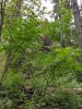 IMG_20200803_082232.thumb.jpg.cb73ec42d8d78e670c71845f382813ea.jpg