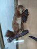 IMG_20200803_122846.thumb.jpg.cc1af6f8cd7d75cdab031a0e65339a90.jpg