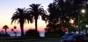 IMG_20200804_200433_1.thumb.jpg.2aa1fc2662027d734df5a95b559192e8.jpg