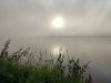 IMG_20200806_052052.thumb.jpg.bcfe03ba3e575e847c1168f0c991747a.jpg