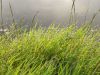 IMG_20200806_061154.thumb.jpg.936d72bb555ae521a0603b6b531431f7.jpg