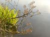 IMG_20200806_061224.thumb.jpg.c1ed80d90345bb3d695c678766f6f17a.jpg