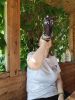IMG_20200807_142031.thumb.jpg.2297af9af7d65e4eb250ebe8151728c3.jpg
