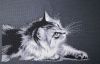 IMG_20200809_214514.thumb.jpg.879c5a432ccedef7261af4335c8710c0.jpg