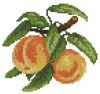 Hafty Polskie, Tasty peaches