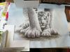 IMG_20200812_130701.thumb.jpg.5654a3c62257077d0cdc63e80dc6b024.jpg