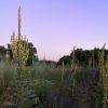 IMG_20200818_085502_458.thumb.jpg.1dd4394e1ccc55bceca1eb46189bd69d.jpg