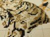 IMG_20200820_200821.thumb.jpg.8dc24e4c578035554f6fedbd22bebfea.jpg