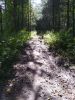 IMG_20200822_150224.thumb.jpg.ba30c5103c9d72a73f1483311e06eb8a.jpg
