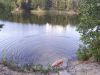 IMG_20200822_150756.thumb.jpg.0be73fa301c86cdee576290ab5211567.jpg