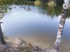 IMG_20200822_150839.thumb.jpg.d2cd5c6c85765ac48a10960b227a5f88.jpg