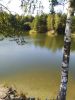 IMG_20200822_150856.thumb.jpg.ce9c1d0cc37814d56891712d2f62d901.jpg