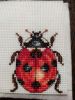 IMG_20200823_004248_compress66.thumb.jpg.5bfb93d36b559606391f893e0aaa75bd.jpg