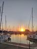 IMG_20200823_063518.thumb.jpg.83223f25b4a1ef7c57d1701ac96ad063.jpg