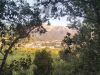 IMG_20200823_070711.jpg