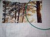 IMG_20200823_112306.thumb.jpg.fc24f09b34fbbd4665944b82dc6df8f1.jpg?1598176736176