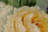 IMG_2185-1.thumb.jpg.ccbc2e566b8ed7565ee6da1912ec767c.jpg