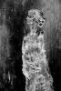 NIK_1411.thumb.jpg.4b343dc4e6ad1391ea8c5fca2ba9ce57.jpg