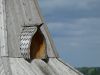 P1000027.thumb.JPG.fc029f11a1370ed720ea3d458446949a.JPG