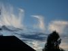 P1000075.thumb.JPG.531a0b9c1ad74ef49a6c04ffc1422567.JPG