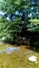 P_20200730_125541_1.thumb.jpg.60f5cfe93b3b024c0b50031898e75a29.jpg