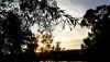 P_20200730_201624_HDR_1.thumb.jpg.5b13317876ae66ca3eb0b98315cbc3f4.jpg