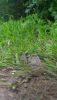 P_20200806_141857.thumb.jpg.73b1eaf4a641d1becd00a7cf8b239a09.jpg