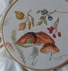 ShroomsBrown3.JPG.beb48f4cf130579309a2f9286f0c9c0e.thumb.jpg.0e36f71430d72ff4be0344b0279bd970.jpg