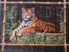 Tiger13.thumb.JPG.58eb754209a16d114f1567e844791ac4.JPG