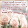 s1200.thumb.jpg.d2f85d6edb89b7fe096a60650dc9e35c.jpg