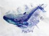 06.thumb.jpg.0537e3003548fbc1d26c1bb7b72a3ac5.jpg?1599134309597