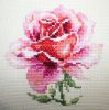 1.thumb.jpg.3704a975548e349dc3c0f10cff1e8e91.jpg