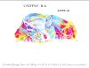 1Calypso.thumb.jpg.8e2561dee8992614d04a23cd4bca7b2b.jpg