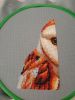 2.thumb.jpg.9ac9c66fb8799d677de05276a996f8ec.jpg