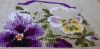 20200612_155020.thumb.jpg.80a9d11cc2b9b4cafb875217bf1a7ad8.jpg