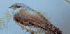 20200616_191444.thumb.jpg.d4367376f9b534ece07e6f7867c4eb58.jpg