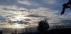 20200622_204206.thumb.jpg.4685ff4acab341b5271ebdc1160b6a1f.jpg