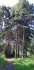 20200801_101232.thumb.jpg.30efae062660f93f21f980633b22fb0a.jpg