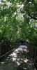 20200801_101352.thumb.jpg.38f3885ba62560f05c39e7aedcde9672.jpg