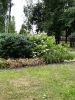20200802_152045.thumb.jpg.05098ae69635b75c8c45d8aac1320e0e.jpg
