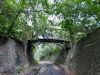 20200802_155249.thumb.jpg.1f6d203f6b9d4f3babda9af609853ec0.jpg