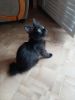 20200811_180023.jpg