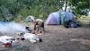 20200825_192756.thumb.jpg.385f3c4ac4620f908c947ffbbd336a6b.jpg