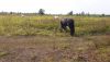 20200826_100757.thumb.jpg.a49519cb92973c4a420c78ccddcaf33c.jpg