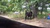 20200826_113956.thumb.jpg.994d8ed0599460cf6c672280bd2a3e90.jpg