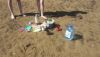 20200828_114134.thumb.jpg.47834f286100ff2b279e261dc893d029.jpg