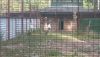 20200828_163532.thumb.jpg.ad992526cb938bbd4fc3ae39e55d186f.jpg