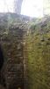 20200828_172224.thumb.jpg.ef138f5c3185f87fd80a0b6cbfecda10.jpg